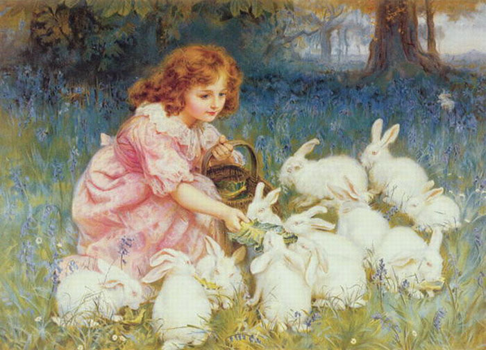 Feeding the Rabbits